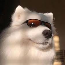 Andika Hazrumy avatar